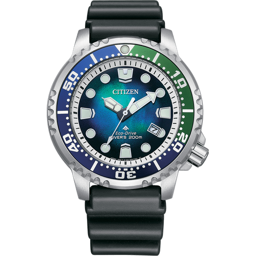 Citizen BN0166-01L