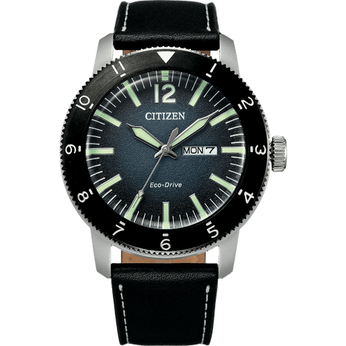 Citizen AW0077-19L