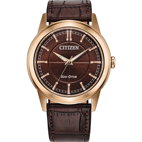 Citizen Rolan