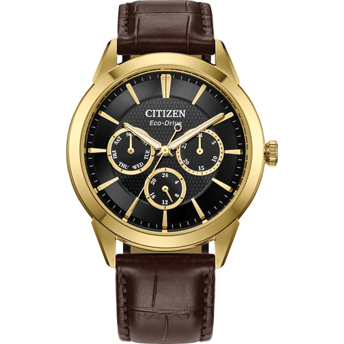 Citizen Rolan