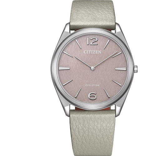 Citizen AR3120-41X