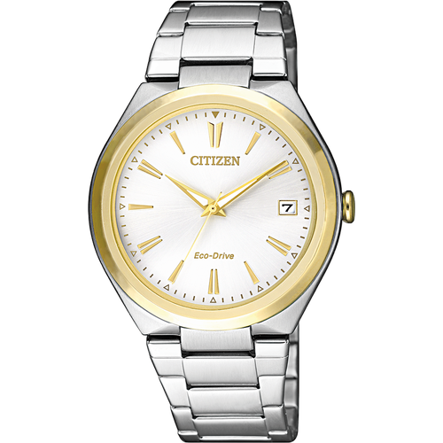 Citizen FE6024-55B