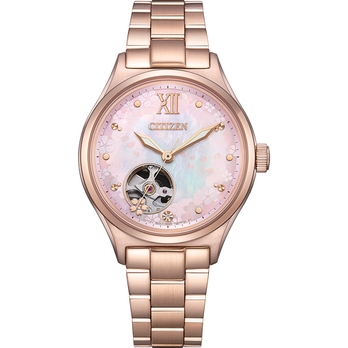 Citizen PC1017-96W